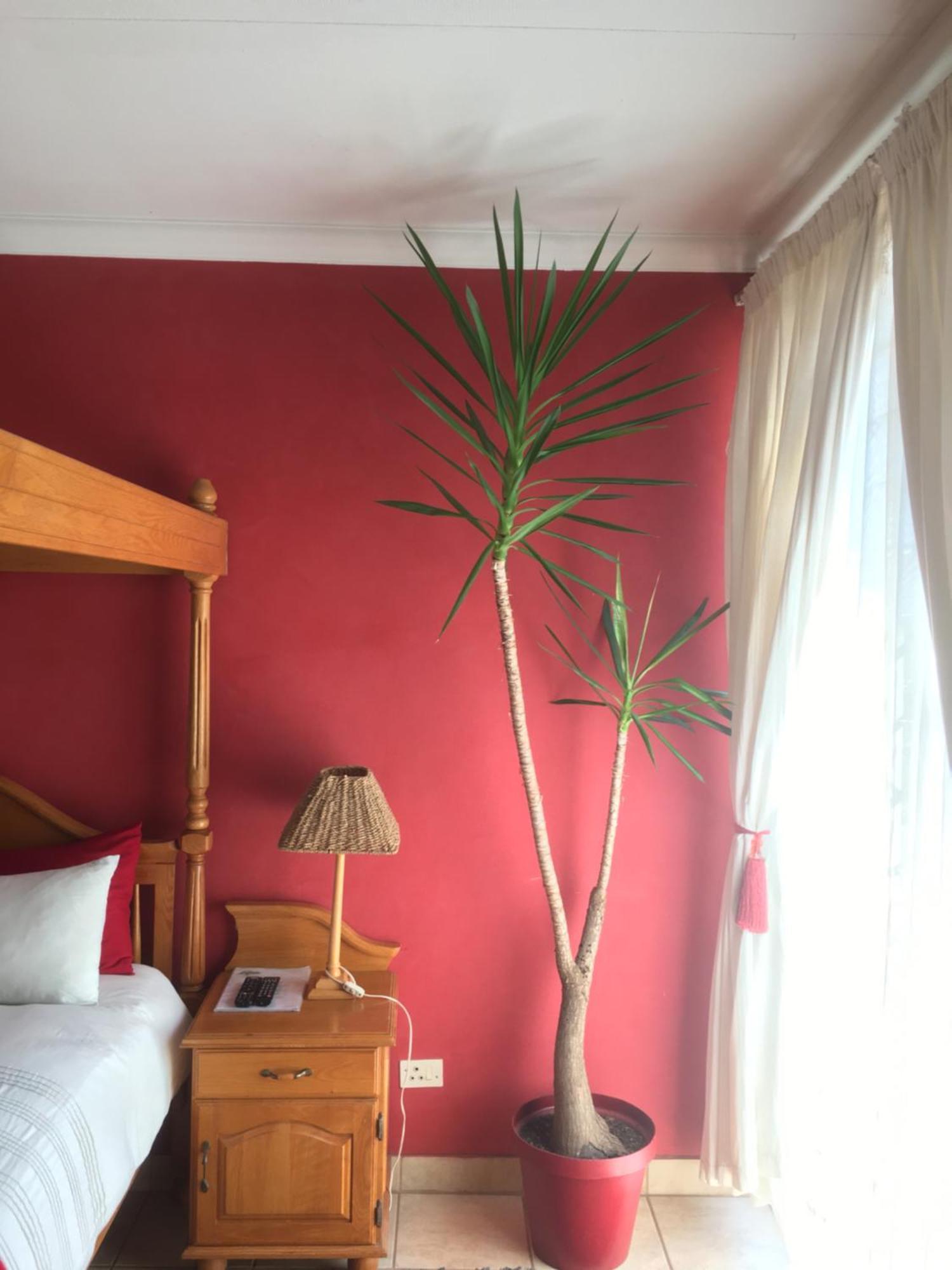 Birrea Guest House Polokwane Eksteriør billede